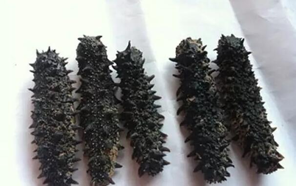 你知道世界上的鱼类有多少个,你知道的海底世界有多少种鱼