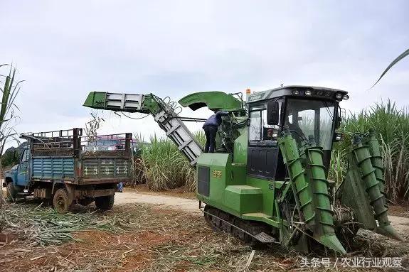 专访｜宜信租赁毛芳竹：农民是值得信赖的！