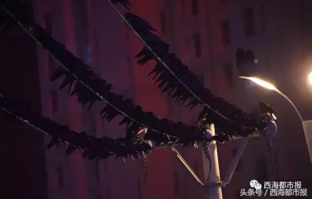 青海最惹眼的“尕网红”！“单挑哥”“白娘子”“老哇爷”