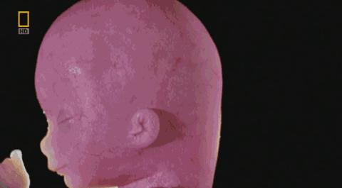 卵子和精子相遇……怎么就变成小孩了?