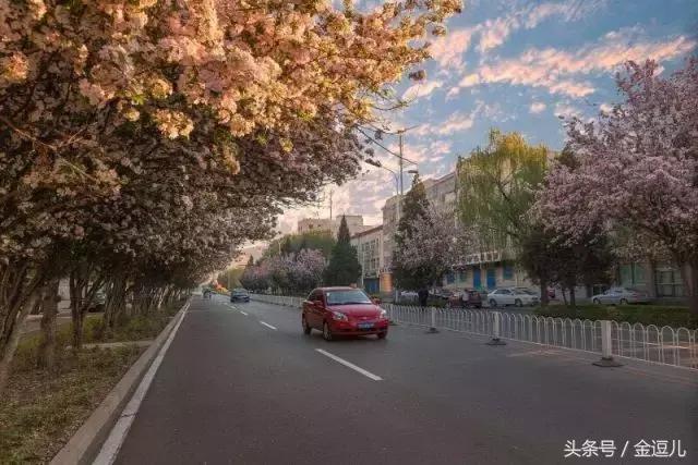 你好，我叫蓟州区，这是我的新名片，请收好