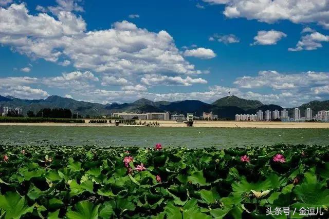 你好，我叫蓟州区，这是我的新名片，请收好