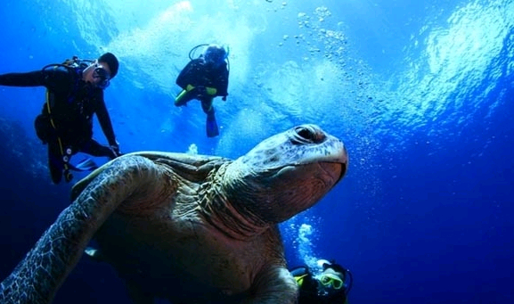 帕劳旅游景点推荐图片大全,帕劳旅游景点推荐