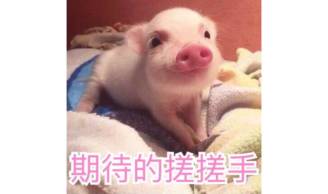 妆前一般都是用的隔离吧,你用过最好用的隔离