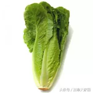 紧急！E.coli0157:H7杀到，最近美国，加拿大的生菜都别吃了！