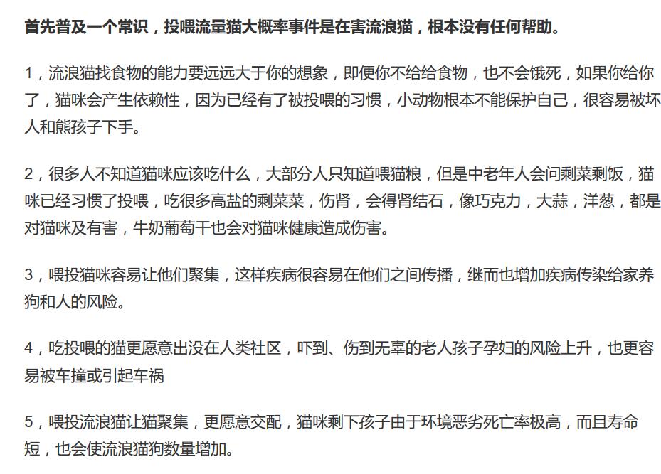 喂流浪猫的人真的有爱心吗,喂流浪猫就很有爱心吗