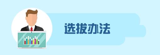 国家公派出国留学选派办法,国家公派留学申请流程详解
