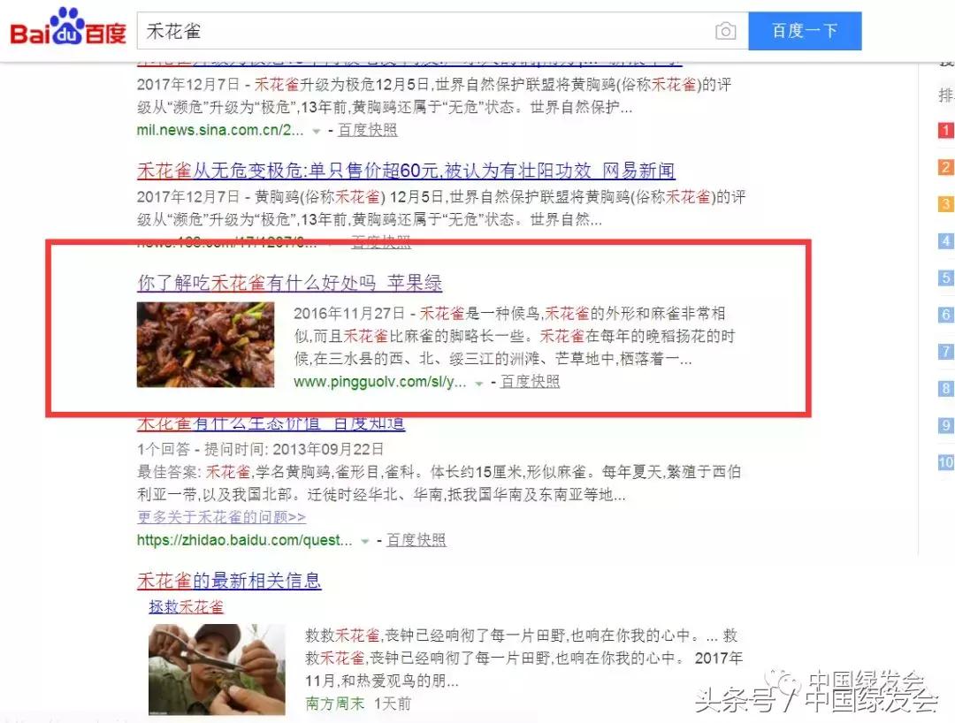 禾花雀搜索对比|看百度搜狗360必应的社会责任和对用户意见的反应