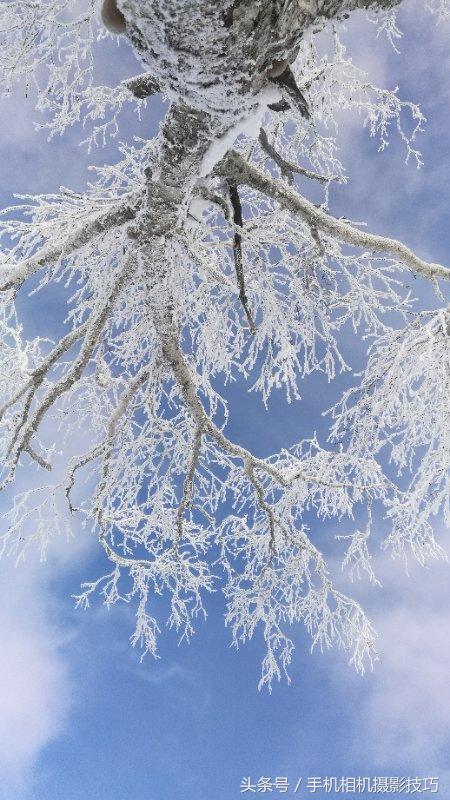 最普通的雪景拍摄感觉,看看你们拍的雪景是什么样的
