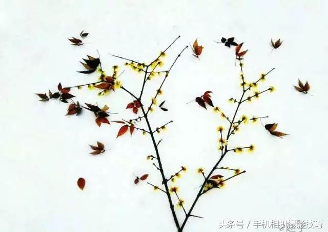 最普通的雪景拍摄感觉,看看你们拍的雪景是什么样的