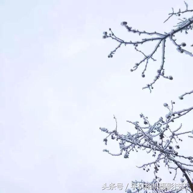 最普通的雪景拍摄感觉,看看你们拍的雪景是什么样的