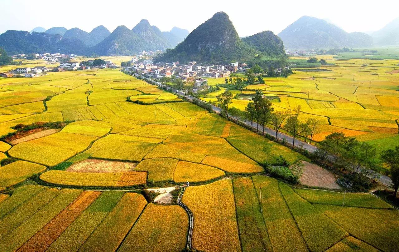 广西粮食产业,广西粮食产业发展