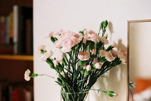 关于爱情五个骗人的心灵鸡汤,心灵鸡汤人生感悟朋友圈关于爱情