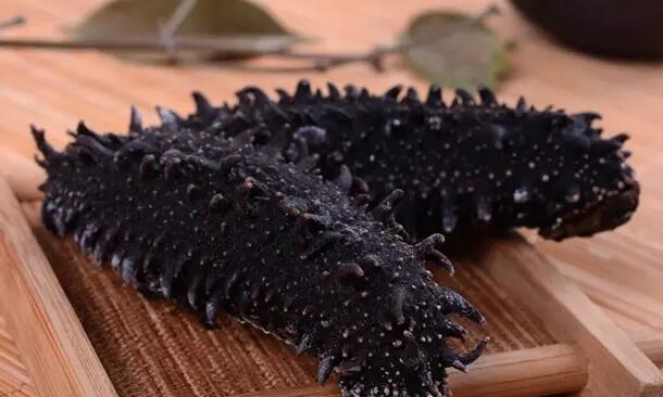 你知道世界上的鱼类有多少个,你知道的海底世界有多少种鱼