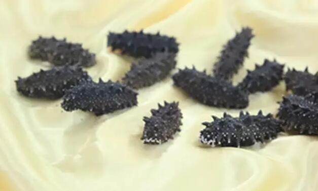 你知道世界上的鱼类有多少个,你知道的海底世界有多少种鱼