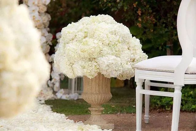 宋慧乔婚礼手捧花铃兰花价格惊人,宋慧乔婚礼手捧花是什么花