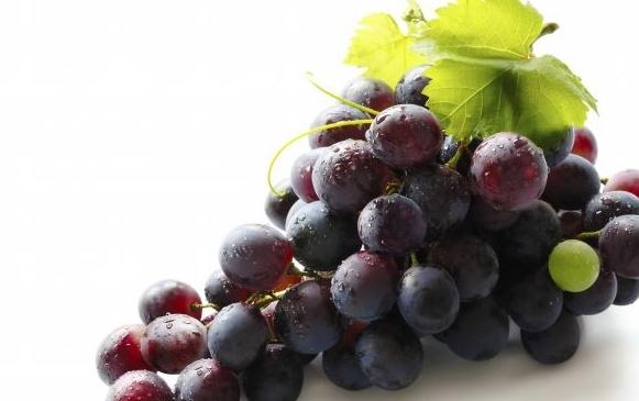 自酿葡萄酒怎么处理不炸瓶,自家酿造的葡萄酒发霉了能喝吗