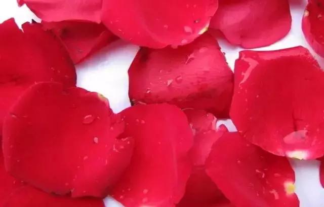 玫瑰精油适合送礼么,玫瑰精油