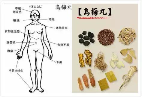 张仲景对伤寒论的讲解,张仲景书写伤寒论的艰辛历程