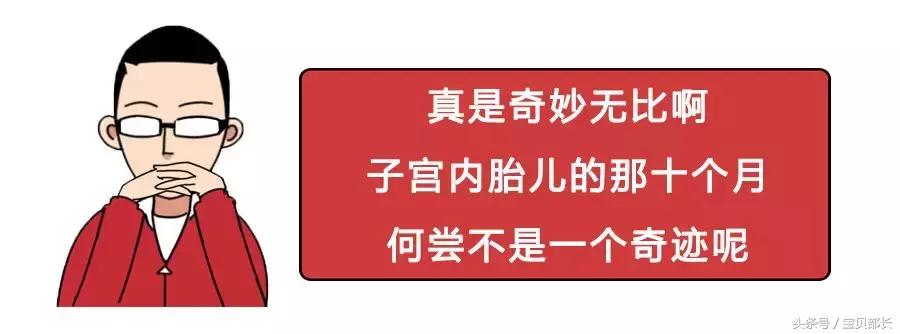 卵子和精子相遇……怎么就变成小孩了?