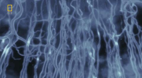 卵子和精子相遇……怎么就变成小孩了?