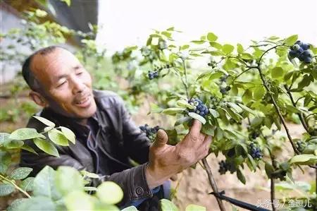 你好，我叫蓟州区，这是我的新名片，请收好