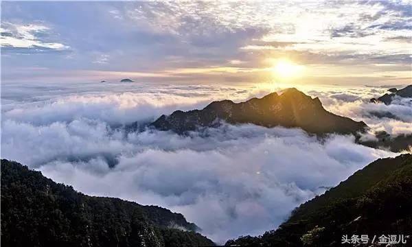 你好，我叫蓟州区，这是我的新名片，请收好