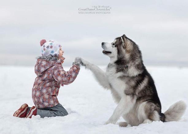 辞职时领导加薪挽留应该如何回绝,提出辞职后领导加薪挽留