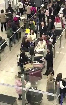 海关违禁品被查,海关查获违禁品事件