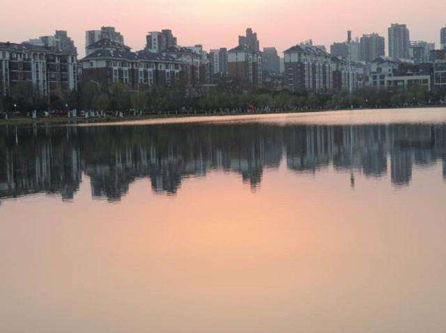 理性讨论不吹不黑,理性讨论996