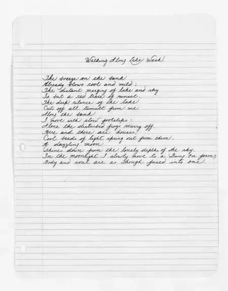 李小龙武术界第一人,华人巨星李小龙