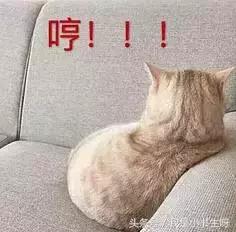 王者荣耀长城守卫军礼包,王者荣耀长城守卫军怎么领取礼包