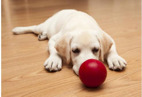 在新加坡有什么好赚钱的项目,在新加坡能不能赚到钱