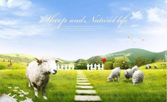 田园综合体优秀案例——台湾清境农场!