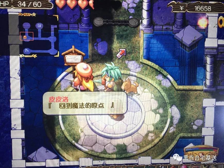 双星物语都在什么平台上玩,游戏双星物语