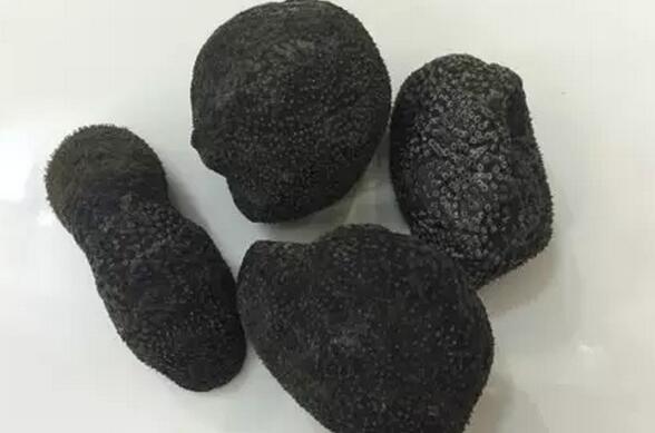 你知道世界上的鱼类有多少个,你知道的海底世界有多少种鱼