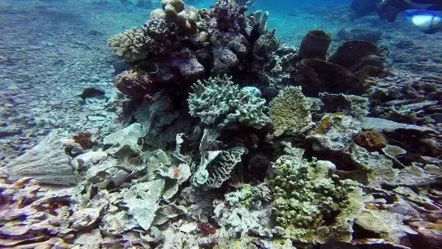 前任3美娜多,带着前任看前任3为什么都复合了