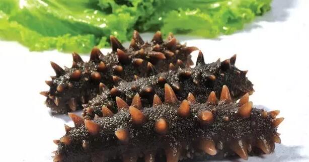 你知道世界上的鱼类有多少个,你知道的海底世界有多少种鱼