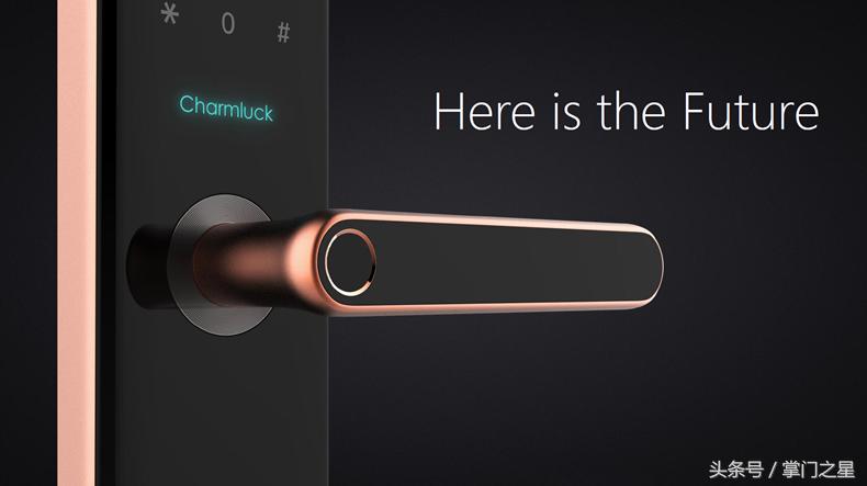 施诺德指纹锁安全问题,指纹锁安全问题大全解答