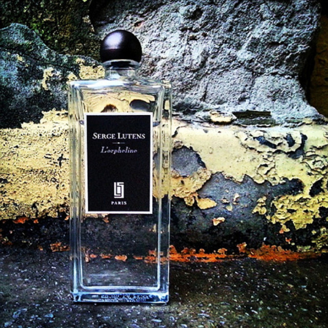 小七的生活笔记,小七的日常生活日记