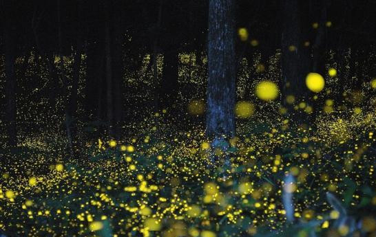 去沙巴旅游的原因,一定要去马来西亚的理由