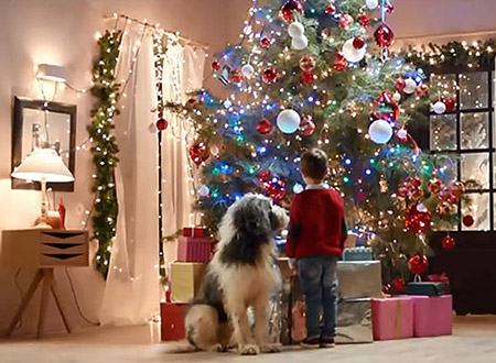 各国圣诞节的传统食物英文介绍,世界各地圣诞风俗