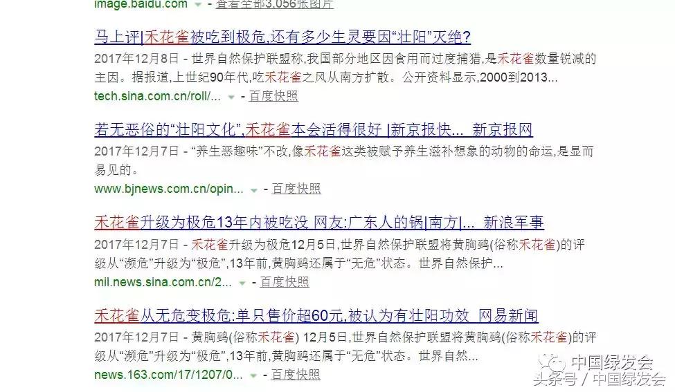 禾花雀搜索对比|看百度搜狗360必应的社会责任和对用户意见的反应