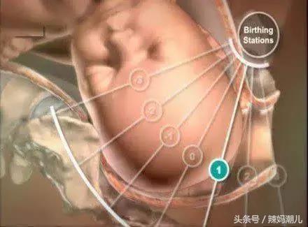 顺产是撕心裂肺的疼？高清图揭示分娩的真相！