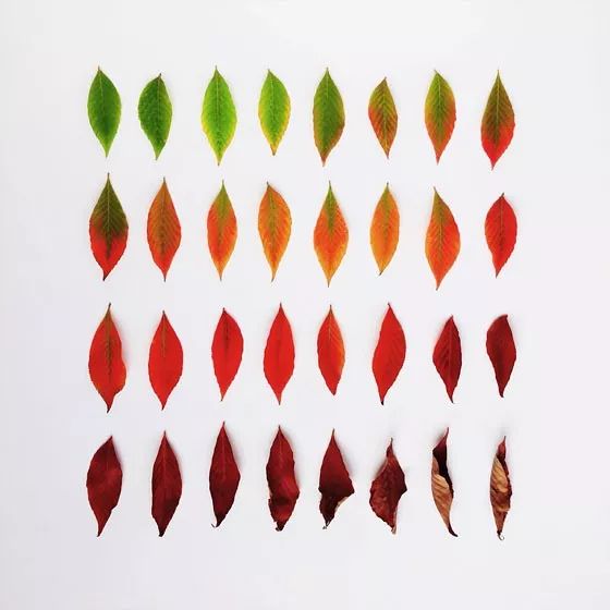 手机摄影创作方法,手机摄影构图的十七种方法