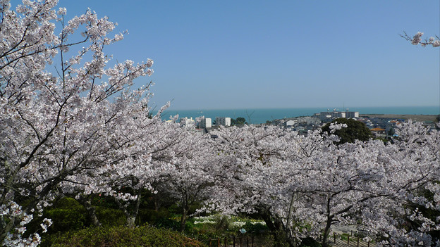 日本九州福冈美食一条街,福冈必去景点推荐