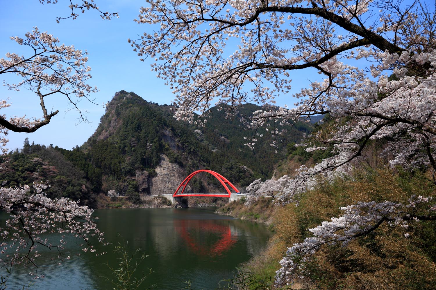 日本九州福冈美食一条街,福冈必去景点推荐