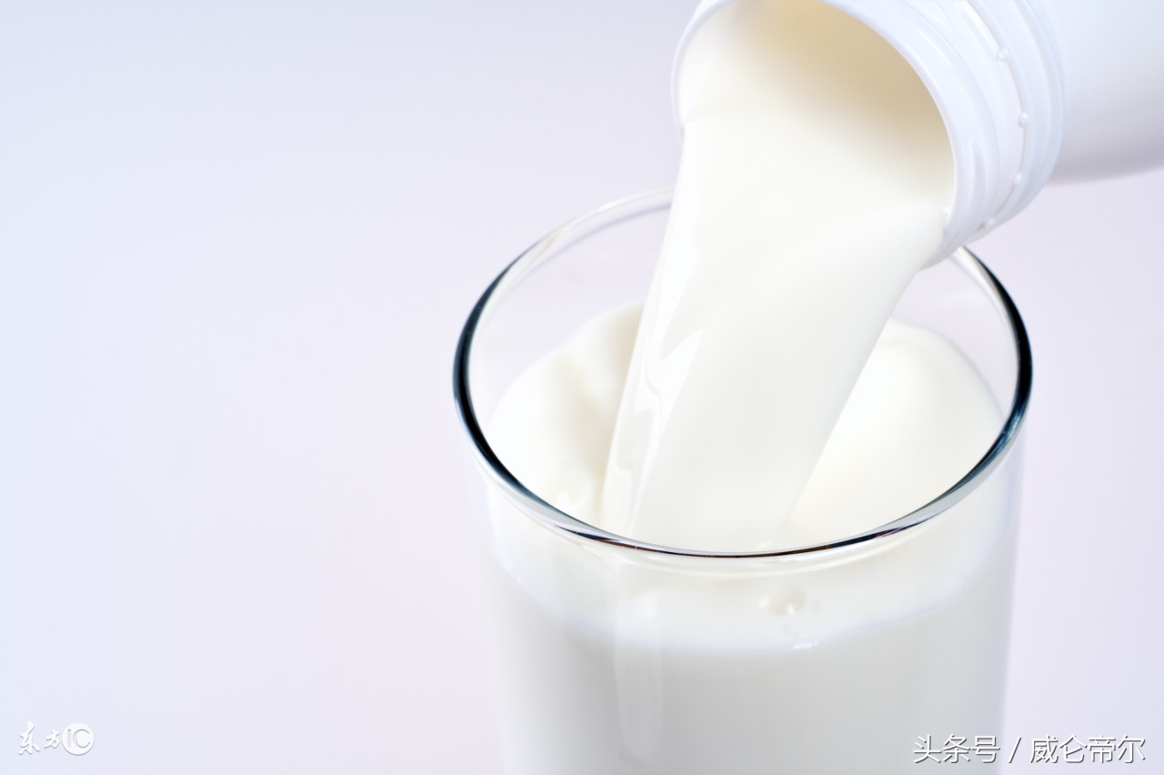 奶制品不含奶,大部分奶制品都不含奶