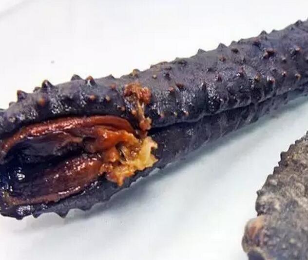 你知道世界上的鱼类有多少个,你知道的海底世界有多少种鱼