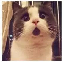 代付火车票骗局,火车票黄牛骗局